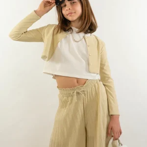 Coprispalle laminato